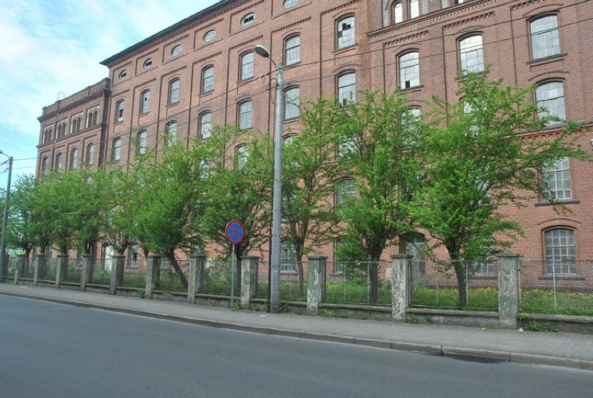 Nowa siedziba urzędu miasta w Lesznie nie tak prędko. Są trzy potencjalne lokalizacje [FOTO] 