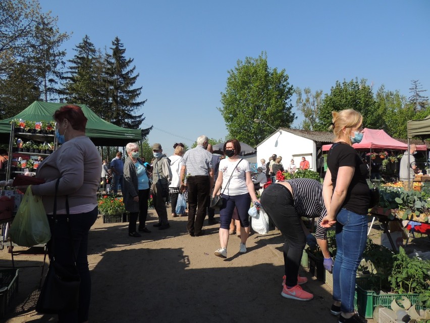 Tłumy na targowisku w Wągrowcu! Co ciekawego można tam znaleźć?