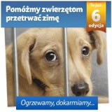 Ostrów: Schronisko w konkursie "Pomóżmy zwierzętom przetrwać zimę"