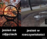 Koniec lata i pierwszy dzień jesieni 2019. MEMY