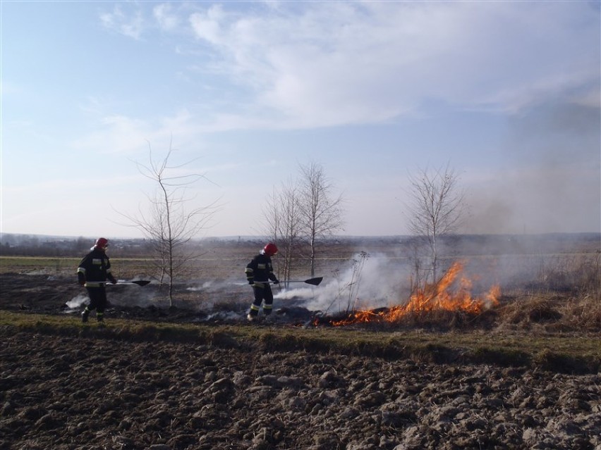 Straż pożarna w Kraśniku apeluje o niewypalanie traw