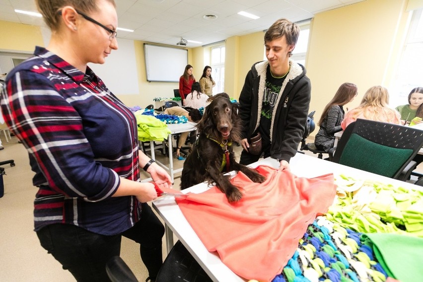 Piękna inicjatywa studentów ZUT-u. Robią specjalne maty dla psiaków [WIDEO, ZDJĘCIA]