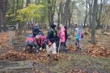 Kilkadziesiąt osób przyszło sprzątać zabytkowy cmentarz przy ul. Wrocławskiej w Opolu [ZDJĘCIA]