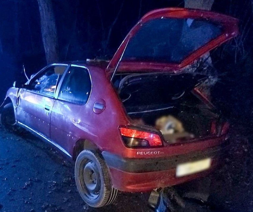 Pościg, rozbite auto, narkotyki. Sceny jak z filmu miały...