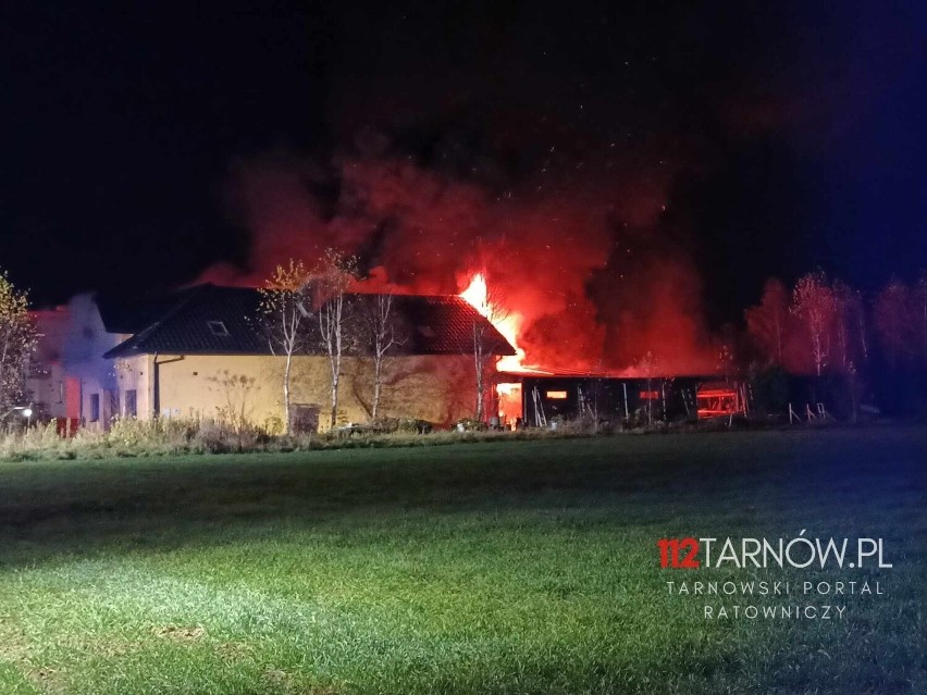 Pożar budynku gospodarczego w Łęgu Tarnowskim, 18.11.2023