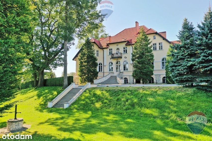 Cudowny pałac z parkiem do kupienia pod Jastrzębiem! To najdroższy dom w regionie! Jak wygląda? Zobaczcie ZDJĘCIA!