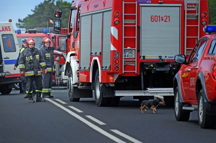 Wypadek na obwodnicy - szukamy Rabusia psa zmarłego mężczyzny