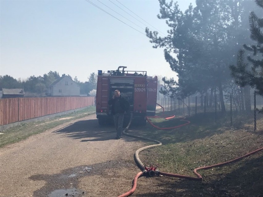 Strażacy z trzech powiatów walczyli z ogniem. Palił się budynek gospodarczy i las [Zdjęcia]