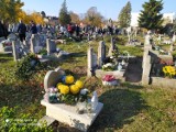 WRZESNIA: Wszystkich Świętych 2021, Cmentarz Parafialny podczas nabożeństwa [FOTO]