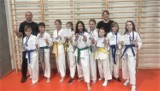 Wolsztyn: Sukcesy naszych sportowców na Międzywojewódzkich Mistrzostwach Młodzików w Taekwondo Olimpijskim