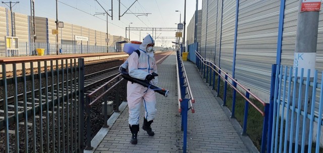 Strażacy ochotnicy walczą z koronawirusem. Dezynfekują miasto, robią zakupy, organizują sprzęt potrzebny służbie medycznej