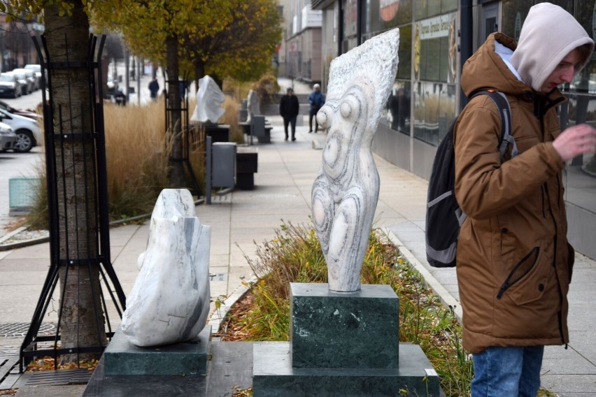 Przy ulicy Warszawskiej w Kielcach można podziwiać kamienne rzeźby na powietrzu. Zobacz zdjęcia