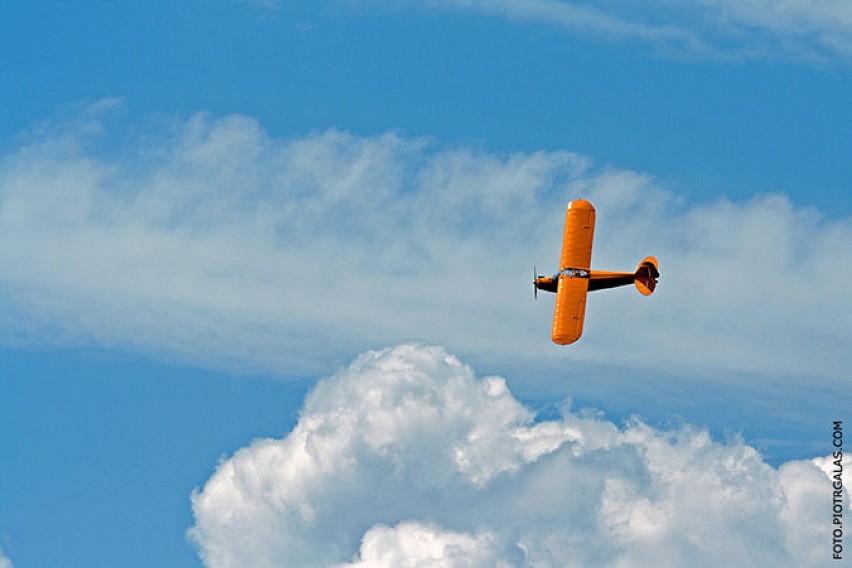 Piper J-3 CubFot. Piotr Galas