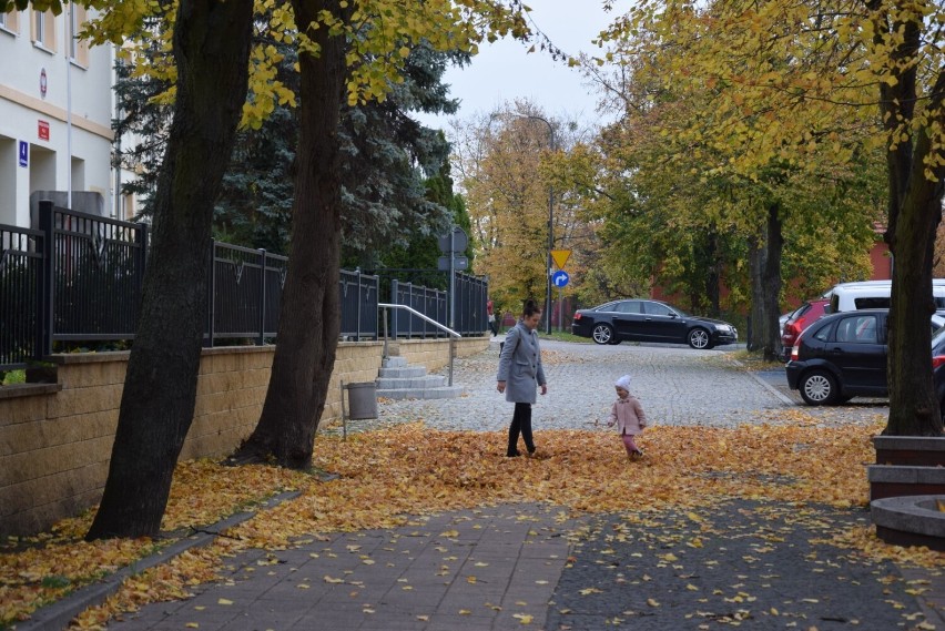 Jesienny spacer po Pruszczu. Zobacz, jak wygląda miasto w jesiennych barwach |ZDJĘCIA