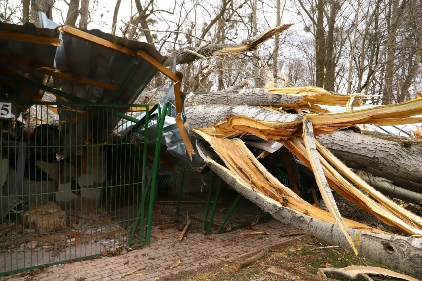 Nawałnica zniszczyła schronisko w nocy z piątku na sobotę