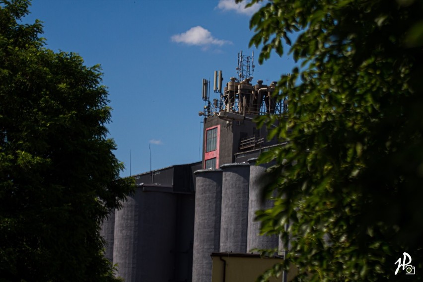 Fotograficzny spacer ulicami Pleszewa