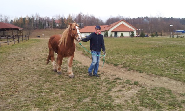 Kasztan z opiekunem - panem Stanisławem, który zajmie się nim gdy właściciel konia będzie musiał wracać po dniu pracy do celi