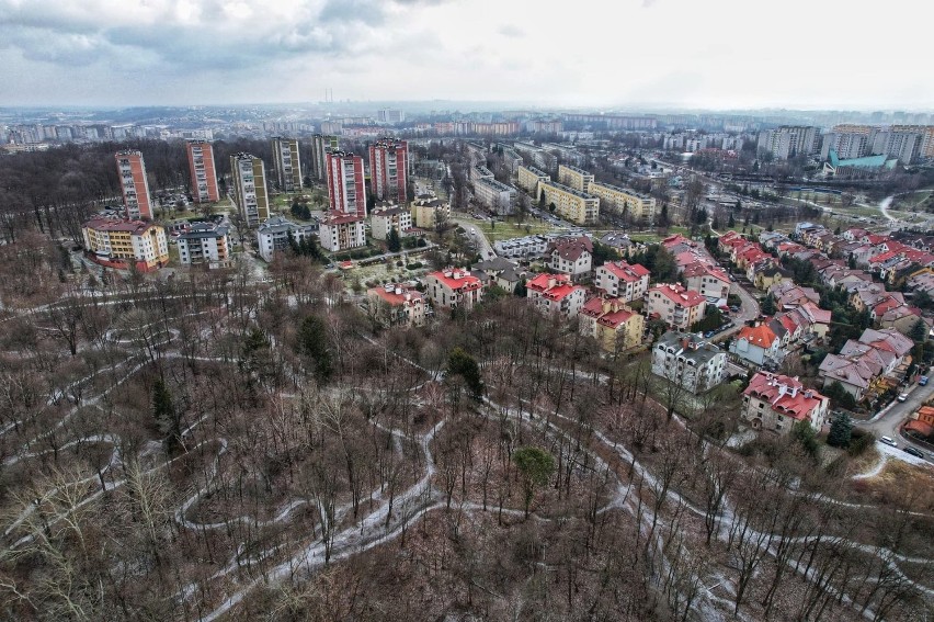 Kraków. Lasek w Mistrzejowicach przeorany... ścieżkami dla rowerzystów