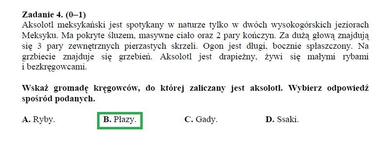 Egzamin gimnazjalny 2013 przyroda. Drugi dzień testów gimnazjalnych [ARKUSZE, ODPOWIEDZI]