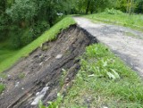 Osuwiska i wywrócone drzewa: Wciąż sprzątają po niedzielnej ulewie