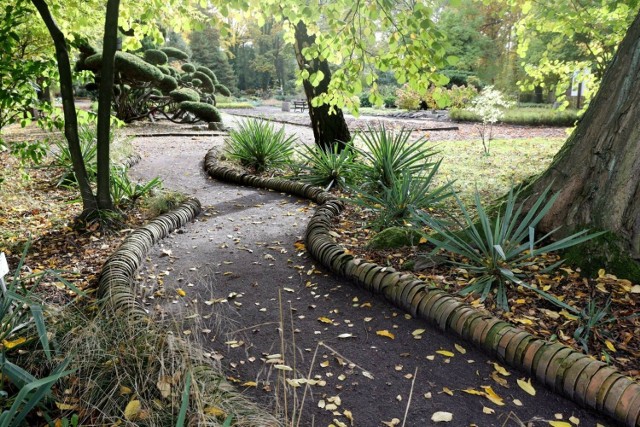 Miejski Ogród Botaniczny w Zabrzu przejdzie rewitalizację.