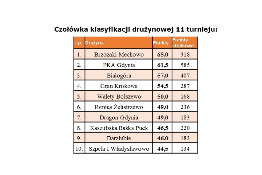 Pucka Liga Baśki 2014/2015. Turniej w Mechowie