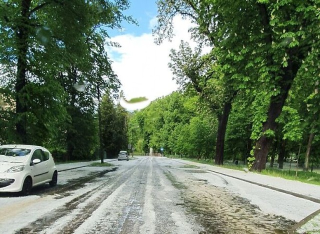 W tym tygodniu możemy cieszyć się słońcem i wysoką temperaturą. W zeszłym roku w maju sytuacja wyglądała zupełnie inaczej. W połowie miesiąca Gubin nawiedziło... gradobicie! W przygranicznym mieście lunęło mocno, niektórymi ulicami woda wręcz płynęła, a ludzie do rąk brali kulki gradowe! Pamiętacie? Zobaczcie zdjęcia >>>