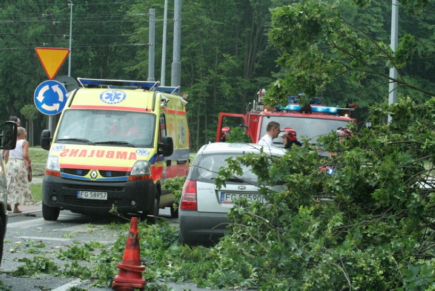Drzewo przygniotło samochód! (zdjęcia)