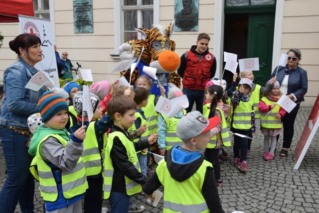 Stulecie PCK, impreza na deptaku i w ratuszu - Zielona Góra, 23 maja 2019