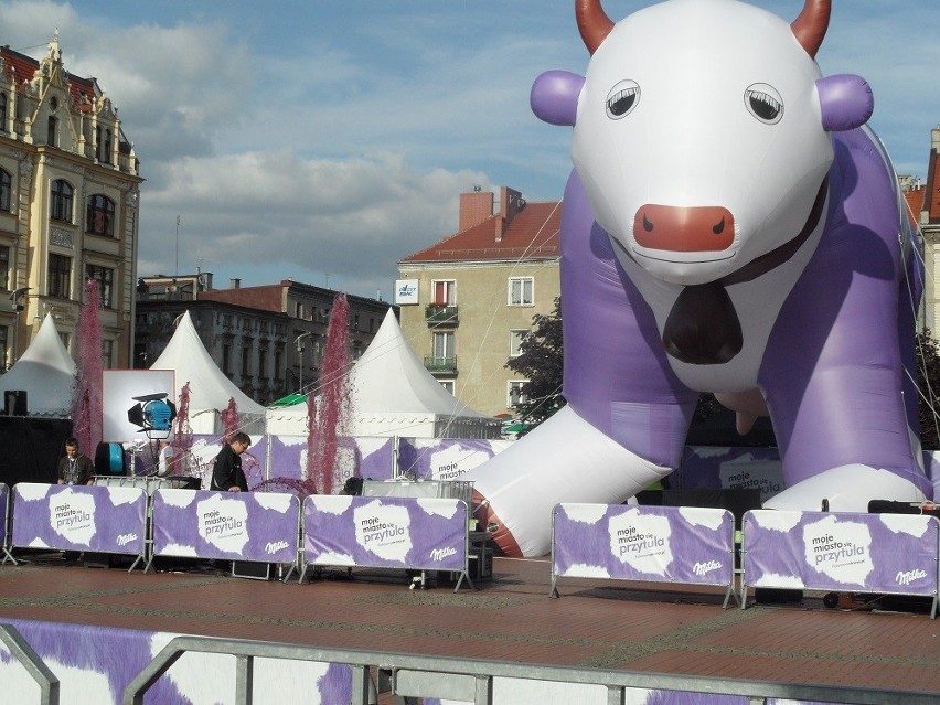 Bytom najmilsze miasto w Polsce. Finał akcji Milka. Moje miasto się przytula