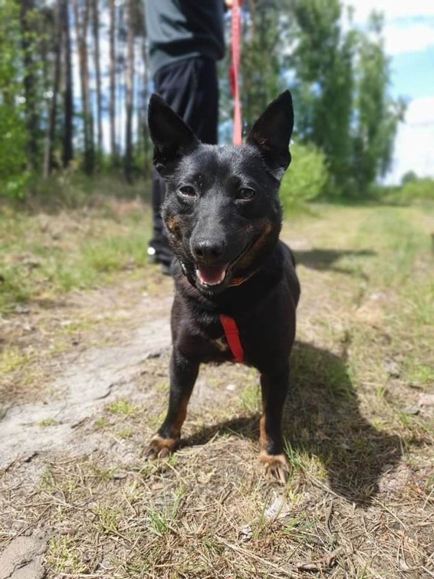 Pola i Tola wciąż marzą o wspólnym domu      