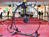 Niezwykłe rowery w kieleckiej Galerii Echo! Jednym jeździła Brigitte Bardot (WIDEO)