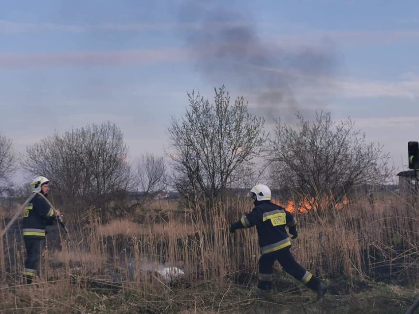 Trawy wciąż płoną, strażacy znów w akcji [ZDJĘCIA]