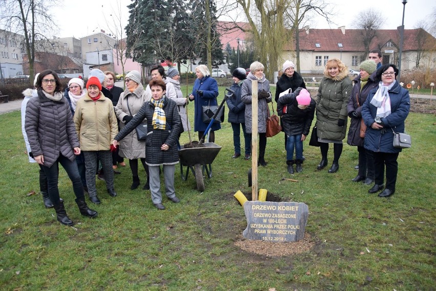 Drzewo Kobiet w Chodzieży na pamiątkę 100. rocznicy uzyskania praw wyborczych przez Polki (FOTO)
