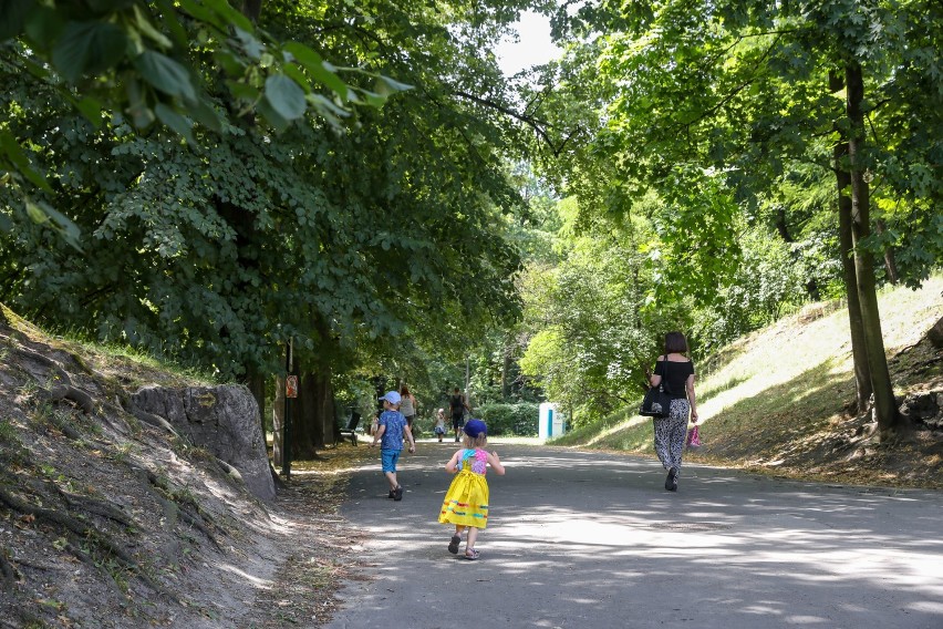 Czy to najbardziej romantyczny park w Krakowie?  [ZDJĘCIA, WIDEO]