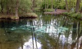 Wiosna w rezerwacie Niebieskie Źródła i Parku Bulwary w Tomaszowie [zdjęcia]