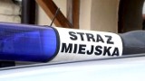 Funkcjonariusze wejherowskiej Straży Miejskiej ujęli sprawcę pobicia