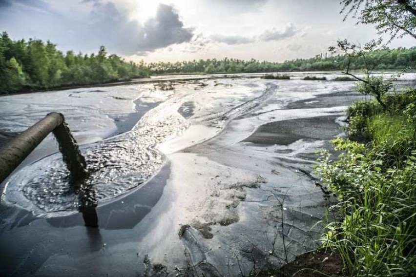 Do stawów osadowych spływają ścieki z huty Arcelor Mittal