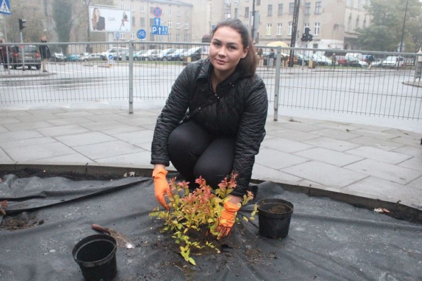 16 października uczniowie IV LO porządkowali skwer na rogu Pomorskiej i Wschodniej.