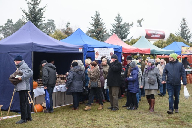 Przysiek.  Kujawsko-Pomorski Festiwal Gęsiny 2016