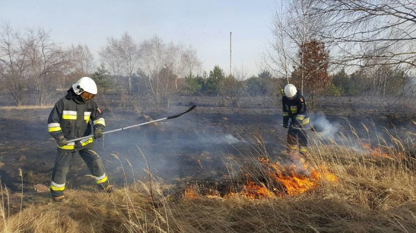 Straż pożarna przypomina:wypalanie traw jest niebezpieczne i zabronione!
