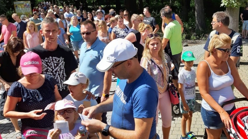 Opolski ratusz podpowiada - nie trzeba stać w kolejce do...