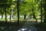 Malowniczy Park na Książęcem w centrum Warszawy. Romantyczne zacisze z podziemną rotundą. Idealne miejsce na spacer