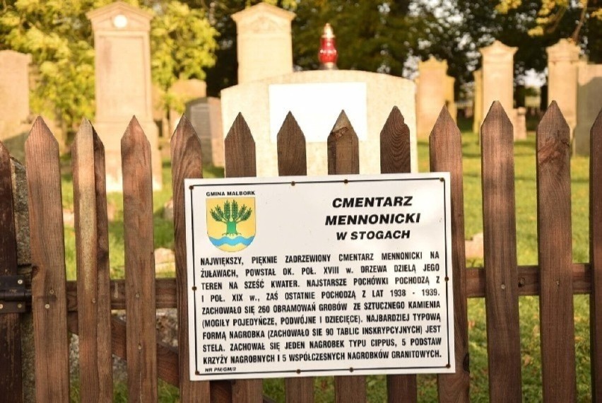 Cmentarz mennonicki w Stogach