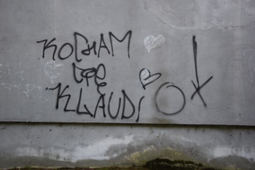 W Brodnicy graffiti możemy zobaczyć m.in. na murach k....