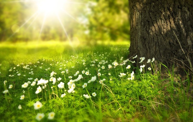 Amerykańcy meteorolodzy z popularnego serwisu pogodowego AccuWeather zaprezentowali pierwsze prognozy na najbliższe trzy miesiące. Jaka wiosna będzie w tym roku? Czy mogą pojawić się przymrozki, czy też będzie wyjątkowo ciepło? Szczegóły dla naszego regionu znajdziesz na następnych slajdach

Zobacz zdjęcia: Seria niezwykłych zjawisk na lubuskim niebie

Polecamy wideo: Zapierający dech w piersiach ujęcia zorzy polarnej

wideo: STORYFUL