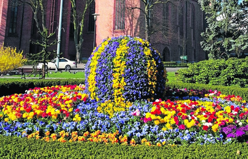 Wielkanocną atmosferę w mieście rozbudzają kwiaty
