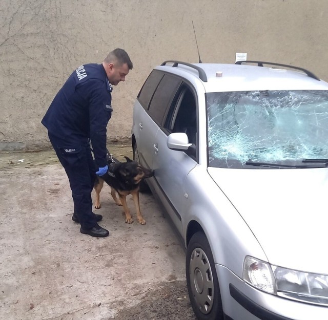 W zwalczanie przestępczości narkotykowej zaangażowani są głównie funkcjonariusze pionu kryminalnego, ale także mundurowi z ogniwa patrolowo-interwencyjnego, policjanci z jednostek terenowych z Byczyny i Wołczyna oraz przewodnik ze swoim psem służbowym.