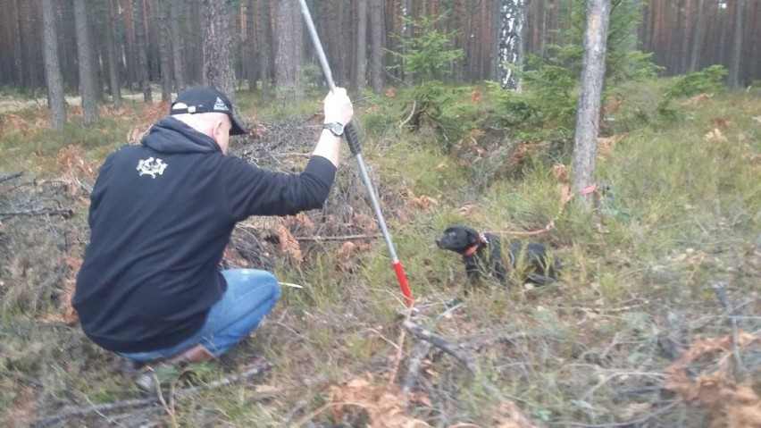 Przywiązał sukę do drzewa, obok wyrzucił szczeniaki. Sprawca w rękach policji [ZDJĘCIA]