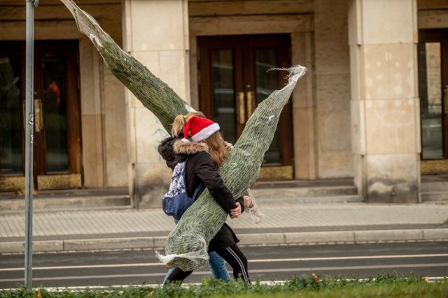 Rząd zamierza wprowadzić zakaz przemieszczania się na święta Bożego Narodzenia.